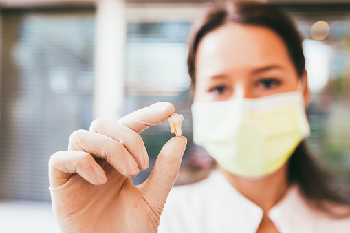 Dental assistant wearing a mask and holding up an extracted tooth in a gloved hand at Martin Periodontics 